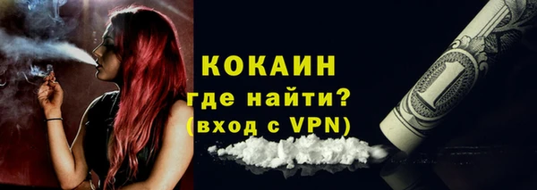 ГАЛЛЮЦИНОГЕННЫЕ ГРИБЫ Аркадак