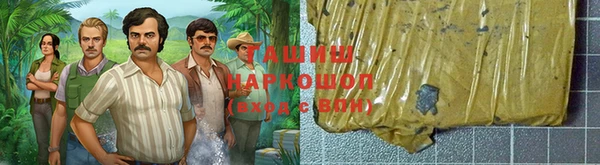 ГАЛЛЮЦИНОГЕННЫЕ ГРИБЫ Аркадак